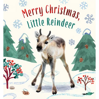 Merry Christmas, Little Reindeer: A Board Book - Board Book