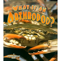 What Is an Arthropod? - Paperback