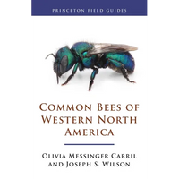 Common Bees of Western North America - Paperback