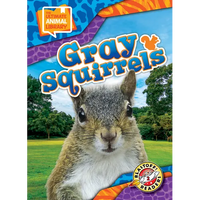 Gray Squirrels - Library Binding
