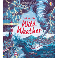 Look Inside Wild Weather - Board Book