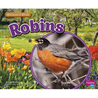 Robins - Paperback