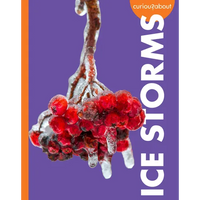 Curious about Ice Storms - Paperback