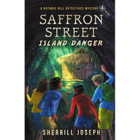Saffron Street: Island Danger - Paperback