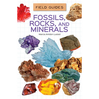 Fossils, Rocks, and Minerals - Library Binding