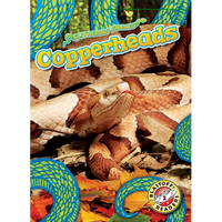Copperheads - Library Binding