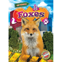 Foxes - Library Binding