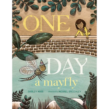 One Day a Mayfly - Hardcover