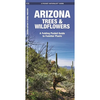 Arizona Trees & Wildflowers: A Folding Pocket Guide to Familiar Plants - Paperback