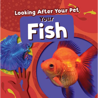 Your Fish - Paperback