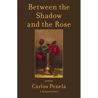 Between the Shadow and the Rose. Selected poems 2001-2024: A Bilingual Edition (English and Galician) - Paperback