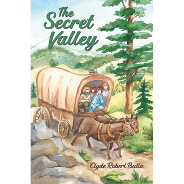 The Secret Valley - Paperback
