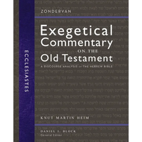 Ecclesiastes: A Discourse Analysis of the Hebrew Bible 17 - Hardcover