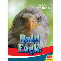 Bald Eagle - Paperback