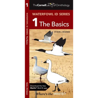 Cornell Lab of Ornithology Waterfowl Id Series: 1 the Basics: Cornell Lab of Ornithology Bird Id Series - Paperback