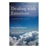 Dealing with Emotions: Scattering the clouds - Paperback