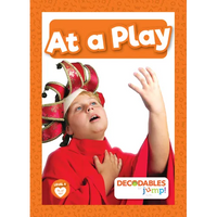 At a Play - Library Binding