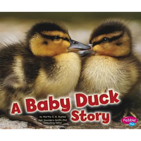 A Baby Duck Story - Paperback