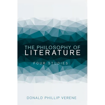 The Philosophy of Literature: Four Studies - Paperback