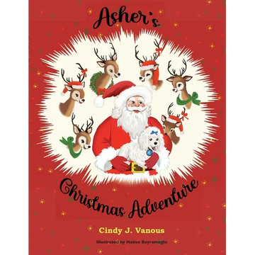 Asher's Christmas Adventure - Paperback