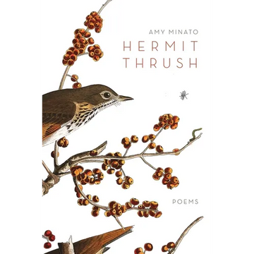 Hermit Thrush - Paperback