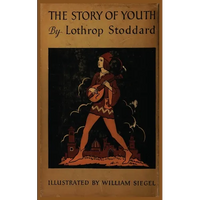 The Story of Youth - Paperback