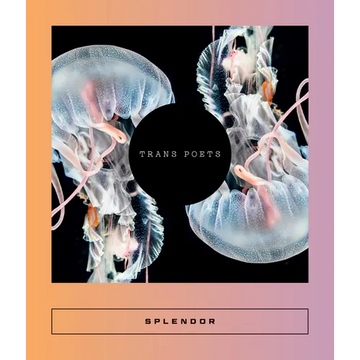 Splendor: Trans Poets - Paperback