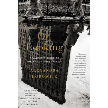 On Looking: A Walker's Guide to the Art of Observation - Paperback