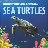 Sea Turtles - Paperback