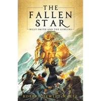 The Fallen Star: Billy Smith and the Goblins, Book 2 - Paperback