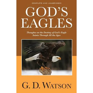God's Eagles - Paperback