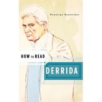 How to Read Derrida - Paperback