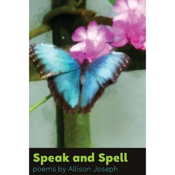 Speak and Spell - Paperback