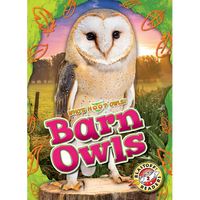 Barn Owls - Library Binding