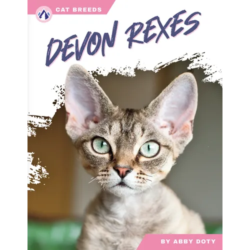 Devon Rexes