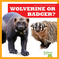 Wolverine or Badger?