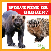 Wolverine or Badger? - Library Binding
