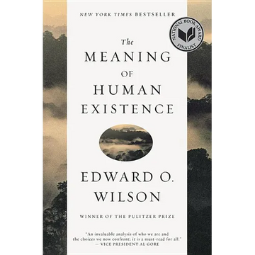 The Meaning of Human Existence - Paperback