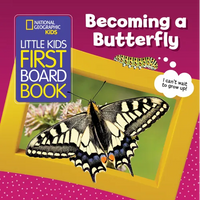 National Geographic Kids Little Kids First Board Book: Becoming a Butterfly - Board Book