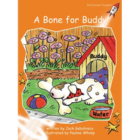A Bone for Buddy - Paperback