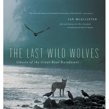 The Last Wild Wolves: Ghosts of the Rain Forest - Paperback