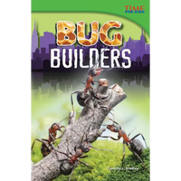 Bug Builders - Paperback