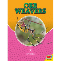 Orb Weavers - Library Binding