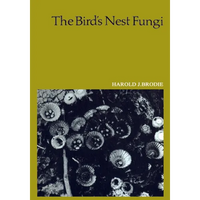 The Bird's Nest Fungi - Paperback