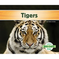 Tigers