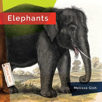 Elephants - Library Binding