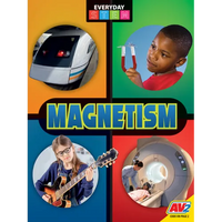 Magnetism - Library Binding