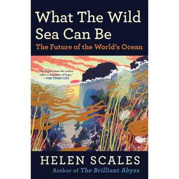 What the Wild Sea Can Be: The Future of the World's Ocean - Paperback