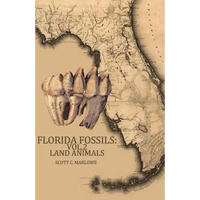 Florida Fossils: Land Animals - Paperback