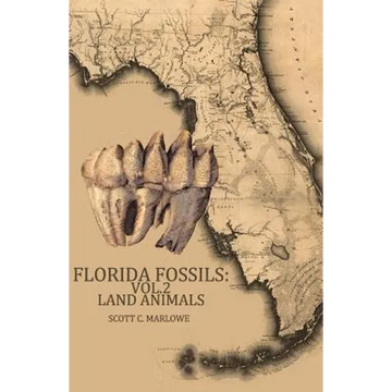 Florida Fossils: Land Animals - Paperback